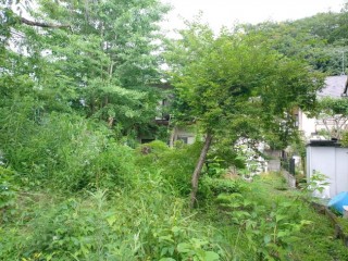 KIMG20250626_170355351