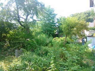 KIMG20250708_150743897