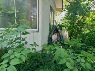 KIMG20250708_150810328