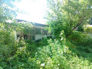 KIMG20250708_150830149