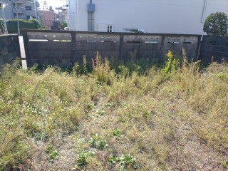 KIMG20251030_111743963