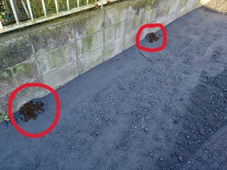 KIMG20251114_071007889