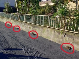 KIMG20251114_084901810