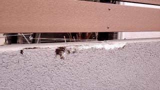 師岡町今関様 (13)